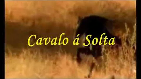 Cavalo À Solta - Ary dos santos - Fernando tordo
