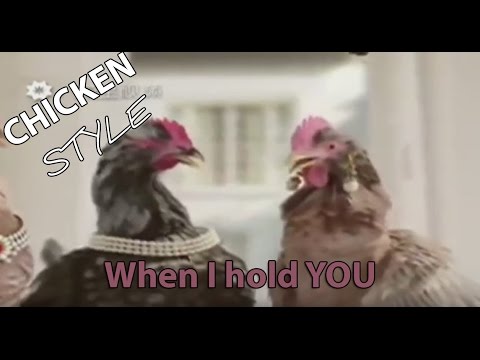Слушать песню куры. Курица поет Chicken Song. Клип с курицей. Песня про курицу. Курицы поют песню.