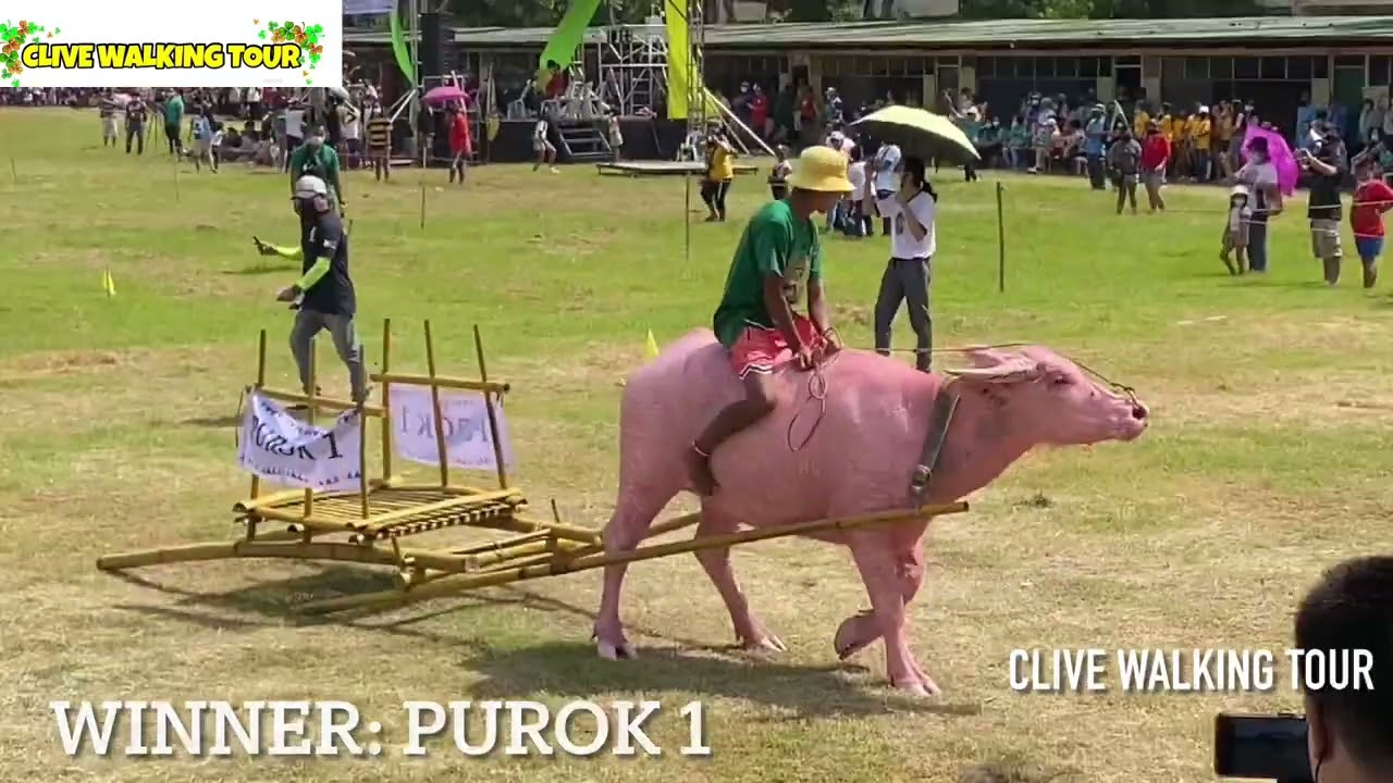 CARABAO RACE - SEMIFINAL RACE CARABAO CAROZZA FESTIVAL 2022 - YouTube