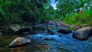 Stop Overthinking and Just Drift Away to This Soft Stream, Deep Relaxation for Your Mind