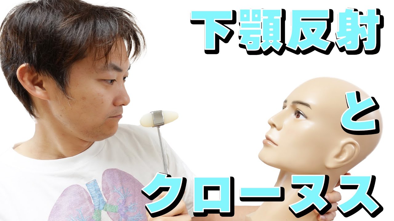 下顎反射とクローヌス：反射（Part.5）