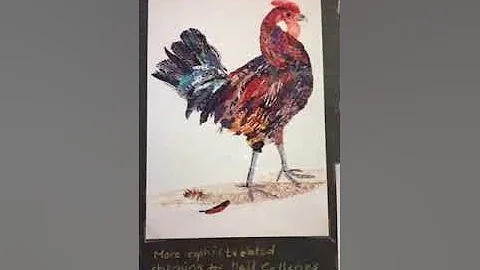 Barbara Shaw: My Textile Journey