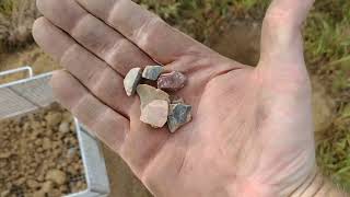 Searching for ancient aritfacts . Licking co. Ohio and find horse fly's ! Ouch !!!