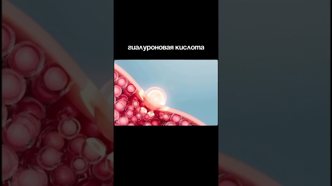 Артикул  на патчи 