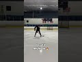 🚨What level of Michigan can you do? 🏒