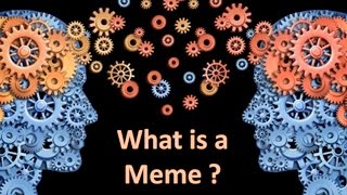 What is a Meme
