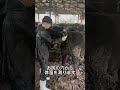 優香くんがお肉になるまで【残り7ヶ月】