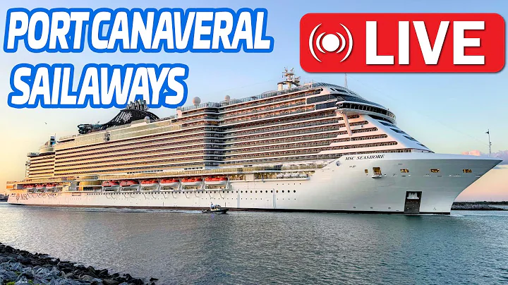 6 Ship Sunday Sail Aways from Port Canaveral | 12.21.25
