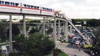 Accidents At The Parks: Magic Kingdom