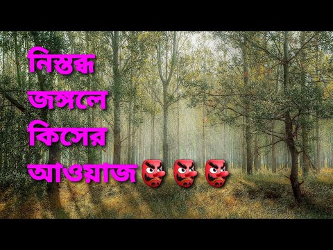 ভিডিও: নিঃশব্দের আওয়াজ কিসের?