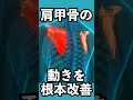 これできないと肩の歪みやばい【肩甲骨はがし】