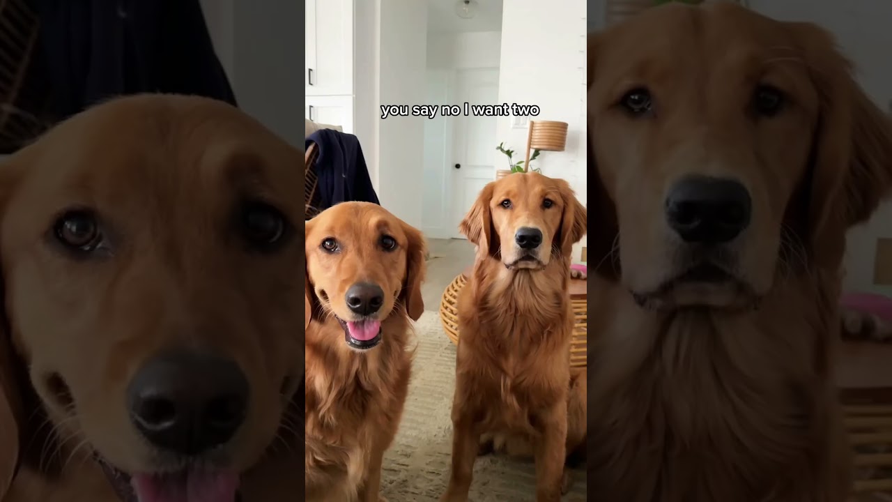 Two is always better 