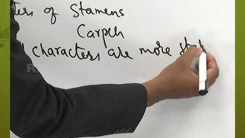 Types of Classification | Introduction to Taxonomy | Plant Systematics | Botany | NEET 2023