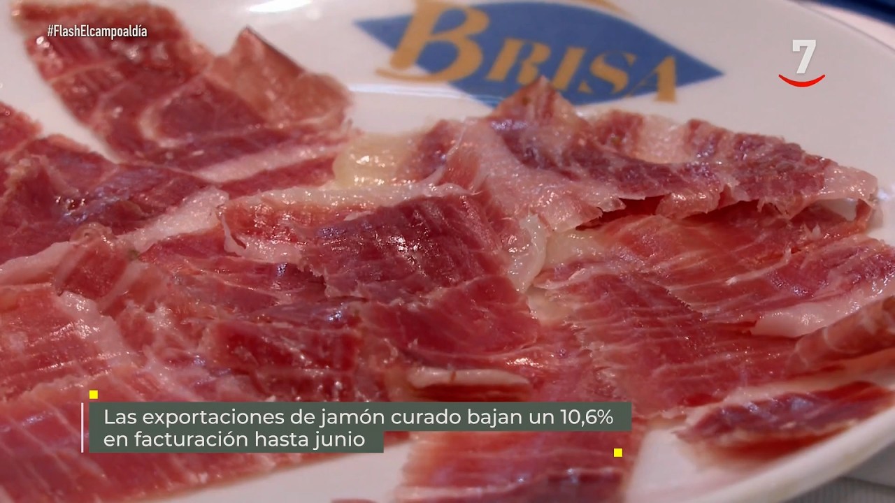 Flash El campo al día (16/09/2026): Las exportaciones de jamón curado bajan un 10,6%