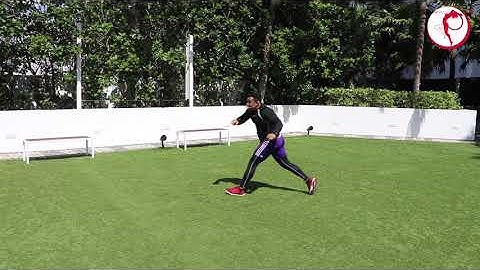 StepFlix Capoeira, level 1, class 19: Ginga with 3 spinning kicks