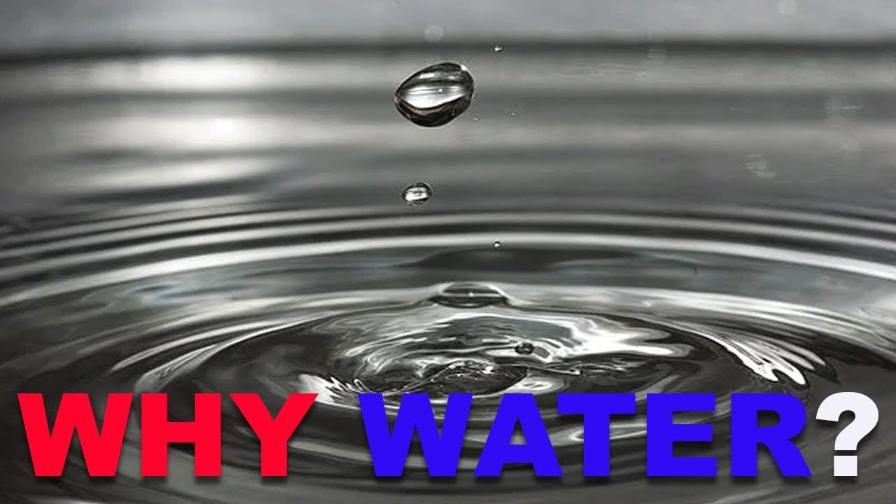 Die Without Water YouTube