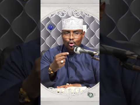 ولما قسا قلبي وضاقت مذاهبي الإمام الشافعي