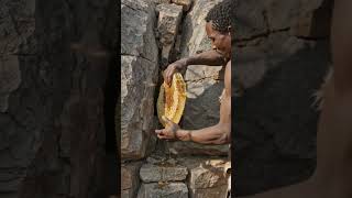 They Found Giant Honeycomb Hidden in the Rocks #hadzabetribe #honey