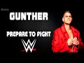 Wwe  gunther 30 minutes entrance extended 3rd theme song  prepare to fight v2