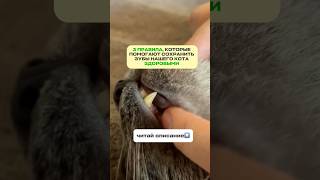 Запоминайтеартикул На Оригинал Зубного Геля Вместе С Ww На Wildberries