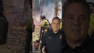 What Smokey the Bear didn't tell us.