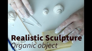 How to make a sculpture of a shell in clay at home