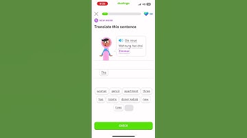*Let’s learn German with Duolingo #beginner section 3: traveller #languagelearning