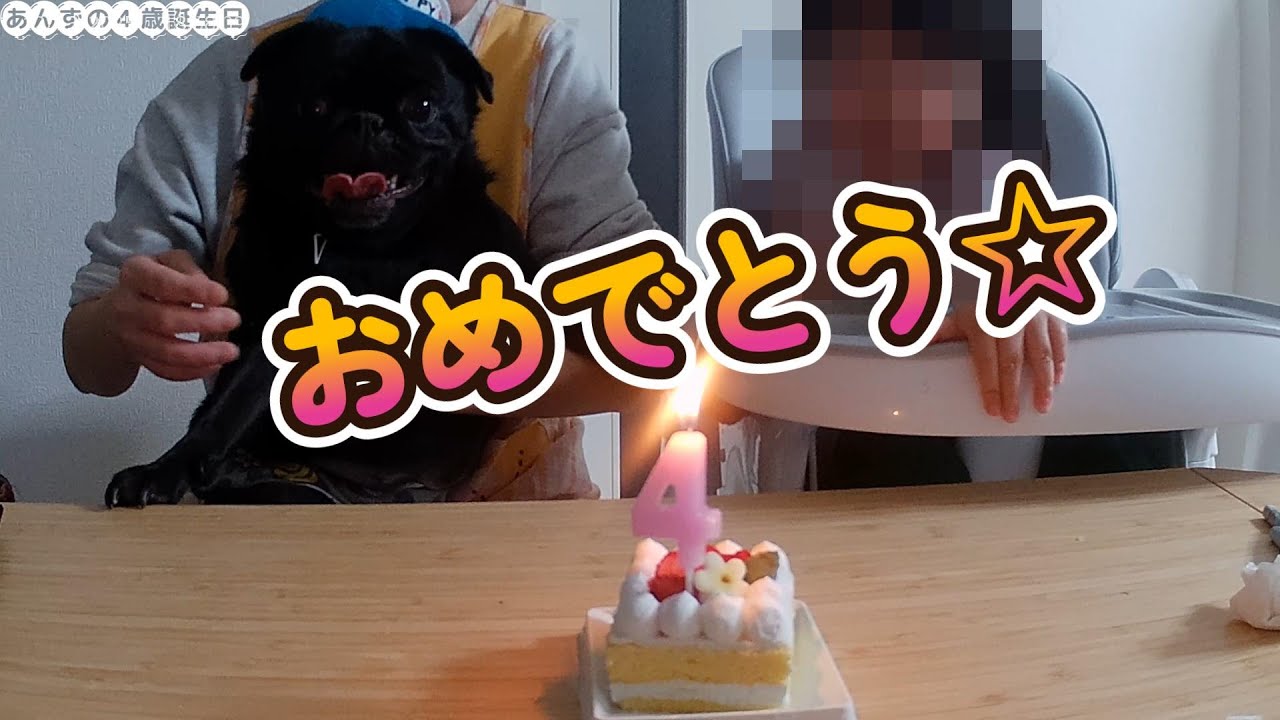 あんずの4歳誕生日
