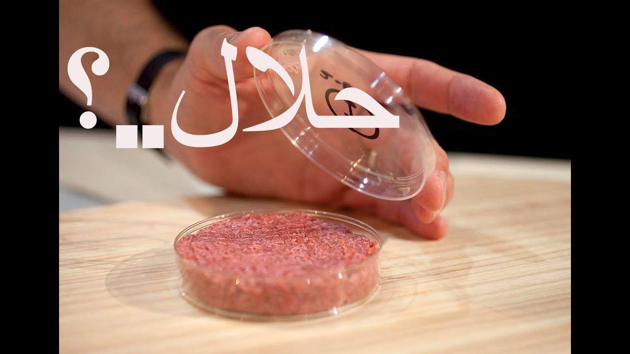 لحوم حقيقة مصنعة في المخابر .. حلال ام حرام؟