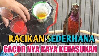 cara buat racikan nekstar burung konin (Kolibri ninja) agar GACOR setabil