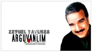 Zeynel Tatlıses / ARGUVANLIM