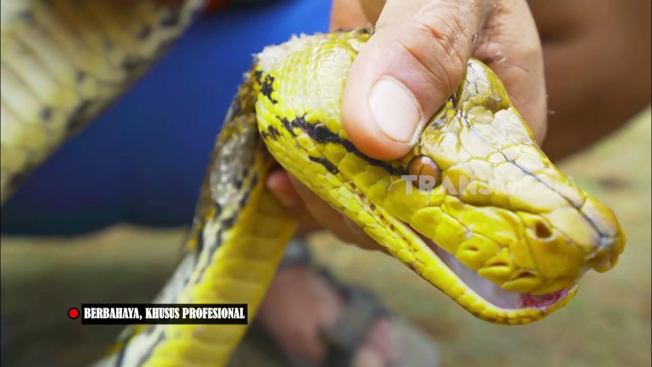 Vinnitsa saunasi va erotik massaj