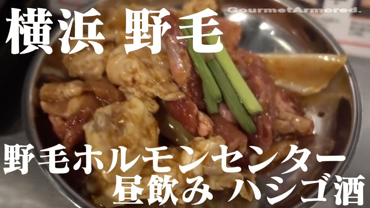 訪問動画[昼飲みハシゴ酒 #横浜  #野毛飲み #五の五 #野毛ホルモンセンター  #都橋商店街　#串兵衛  ]    #gourmetarmored