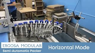 ERGOSA Horizontal Mode - Overview ERGOSA Horizontal Mode - Overview