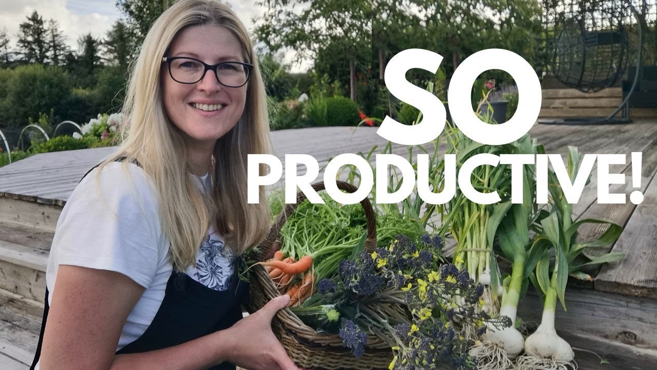 Kitchen Garden update|Harvesting Garlic and Charlotte Potatoes|Main Crop Potato update|Greenhouse