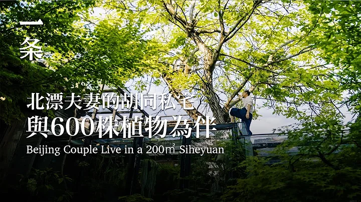 北京夫妻在家造植物園：200㎡四合院，留給600多種植物 Beijing Couple Live in a 200㎡ Siheyuan together - 天天要聞