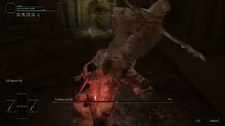 (+0 Weapons) Apostle (No Sprint/Roll/Block/Parry/Jump/Crouch) (No Buffs/Aux/AoW/Infusions) (No Hit)