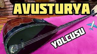 Fishmanli̇ Çi̇ft Kapak Angara Sazi Avusturya Yolcusu