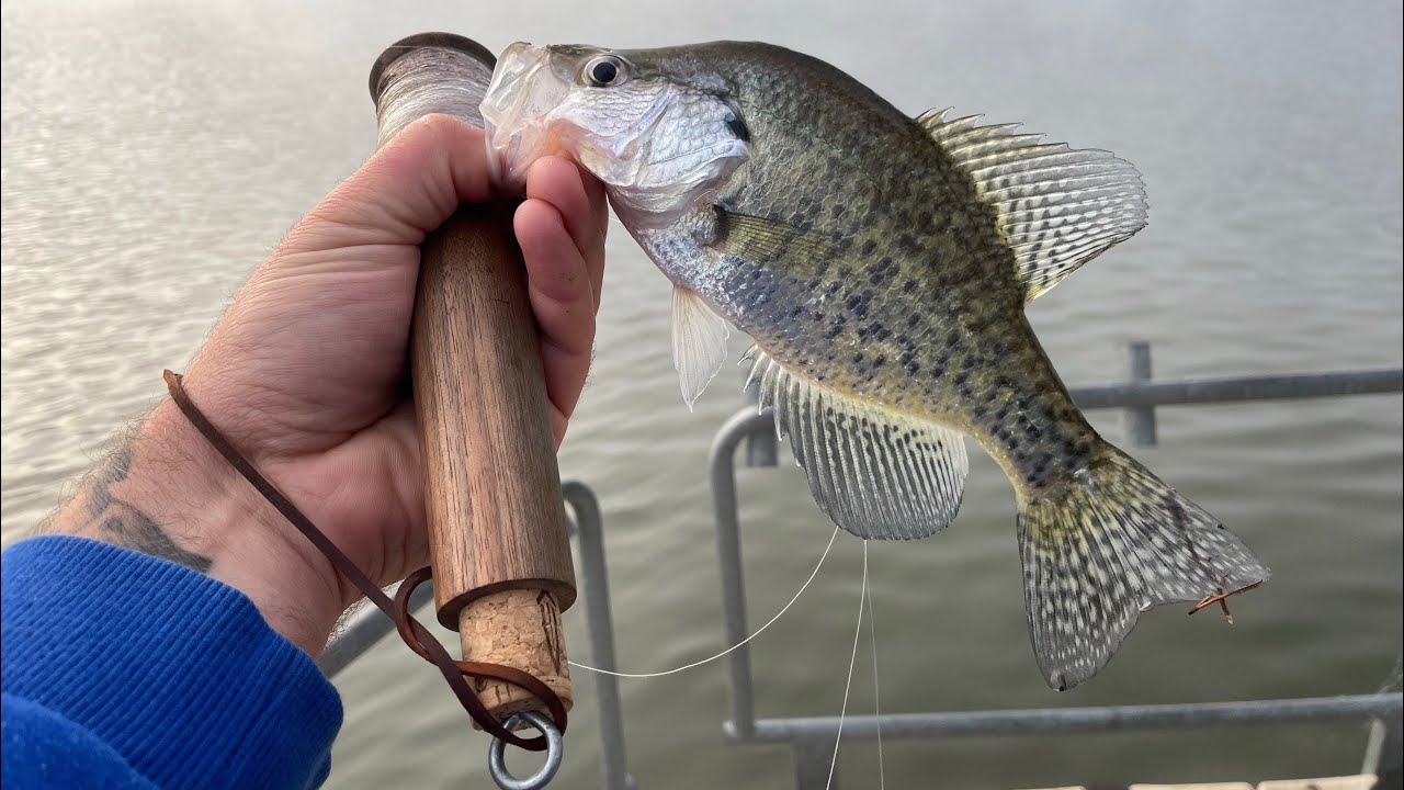 Crappie fishing from a FLOATING PIER! Jigging spoons with Daggerfish reel!  