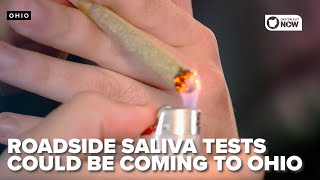 Ohio could introduce 'roadside saliva tests' to help determine marijuana impairment