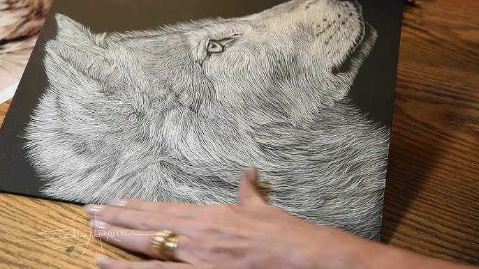 Draw & Paint with Unwin - INTRODUCTION TO SCRATCHBOARD - 1 DAY
