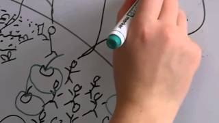 GENE-ETHICS - Genetically modified organisms