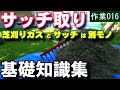 芝生サッチ取りの基礎知識　取り方・考え方・芝の生態としてのサッチの役割ほか雑学　芝活2021 作業016