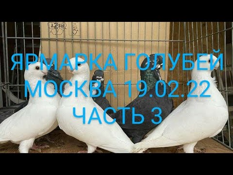 Видео: Ямар төрлийн онгоц 77w вэ?