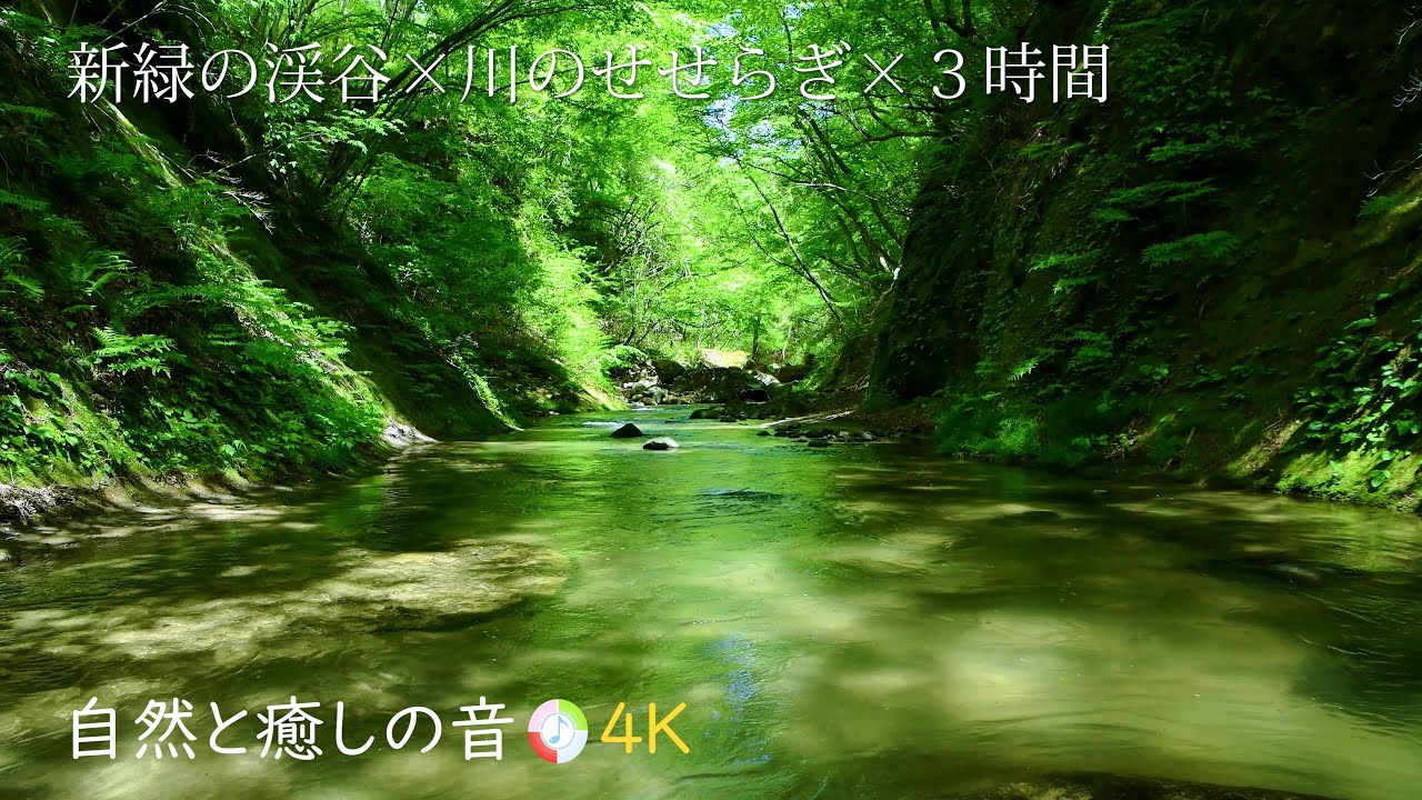 【自然の音】新緑の森林と渓谷を流れる心地よい川のせせらぎ、ストレス、疲労軽減、癒し、睡眠、リラックス、作業用BGM/River Sound ...
