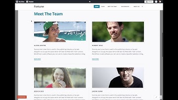 Fortune WordPress Theme: Adding a Custom Background