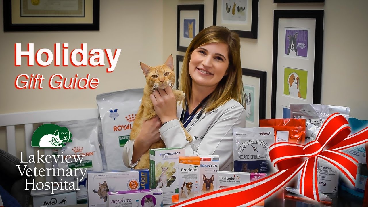 Lakeview Vet Holiday Pet Gift Guide - YouTube