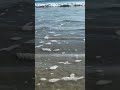 Florida 🏝️ beach vacation