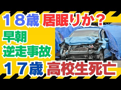 Did he fall asleep? 18-year-old just got his driver's