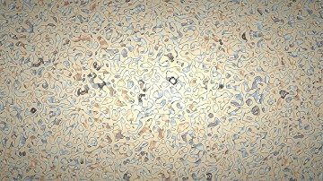 HQ phase transition in 4K UHD (multiphase LBM flow)